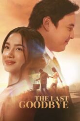 The Last Goodbye
