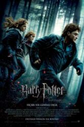 Harry Potter 7.1 and the Deathly Hallows