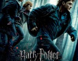 Harry Potter 7.1 and the Deathly Hallows