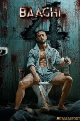 Baaghi 4 (2025)