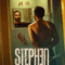Stephen