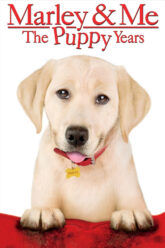 The Puppy Years จอมป่วนหน้าซื่อ