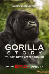 A Gorilla Story Told by David Attenborough เล่าเรื่องกอริลลา โดยเดวิด แอทเทนเบอเรอห์ (2026)