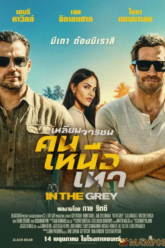 In the Grey เหลี่ยมจารชน คนเหนือเทา (2026)หนัง